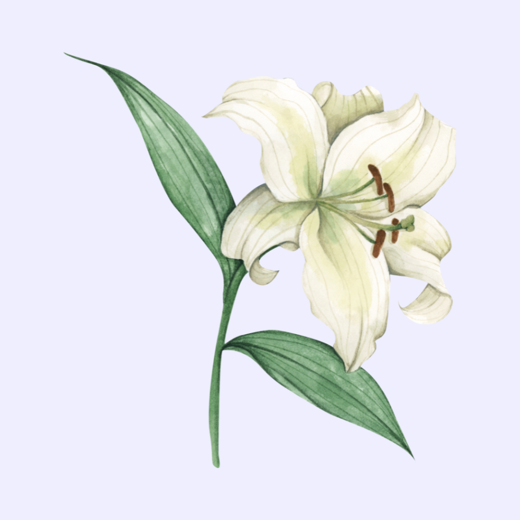 Fleur-De-Lis