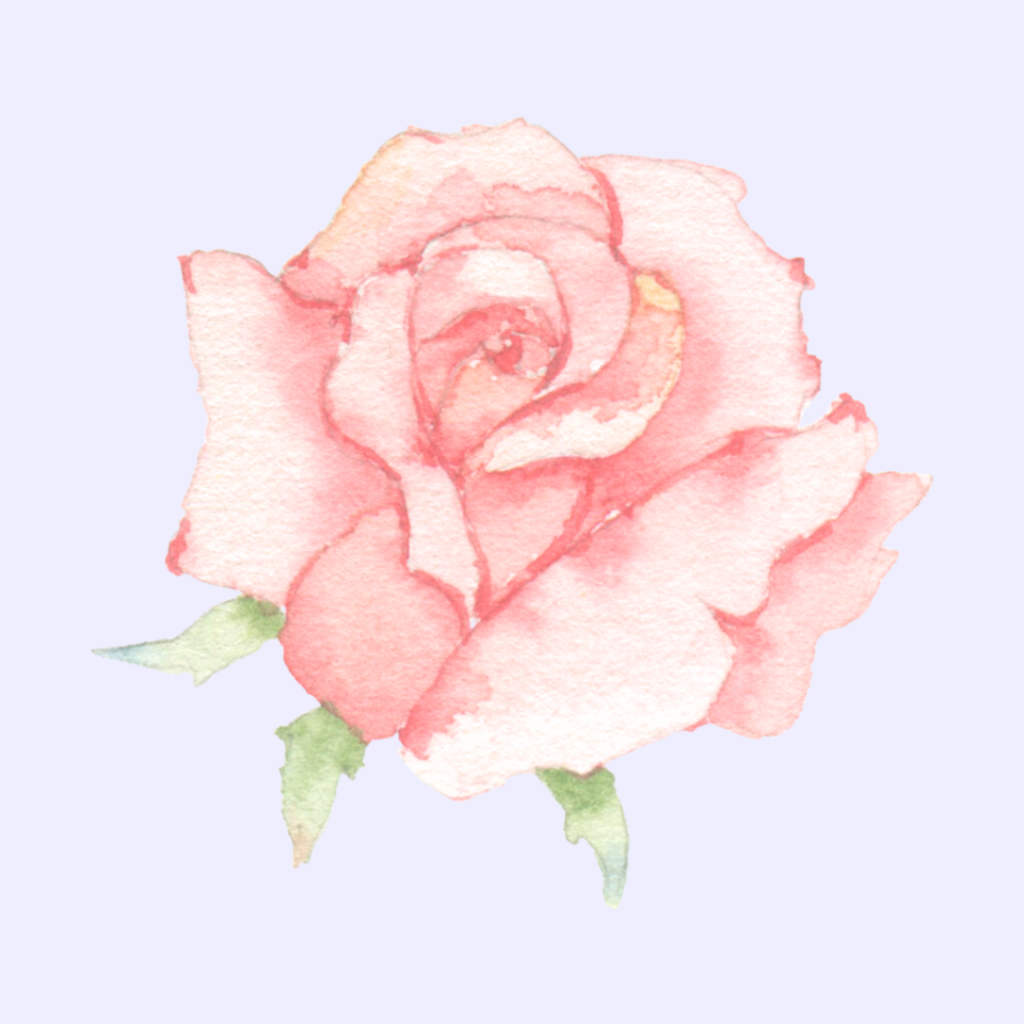 Rose Flower