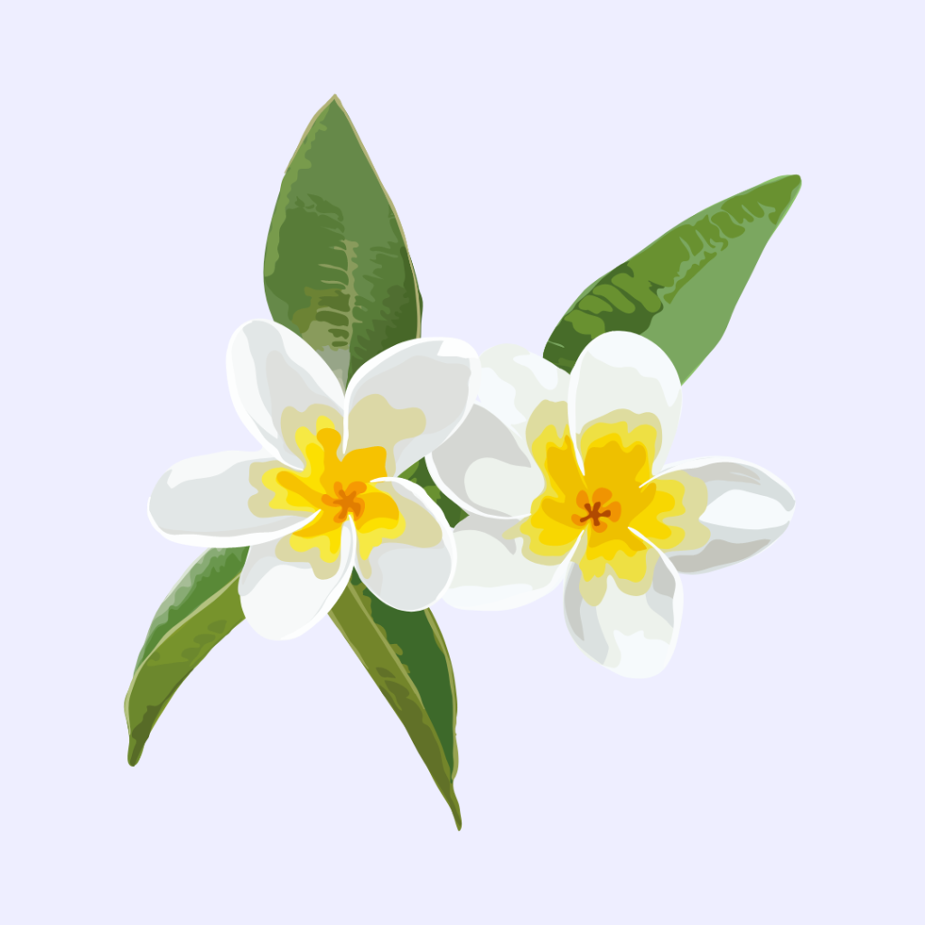 Tiare flower